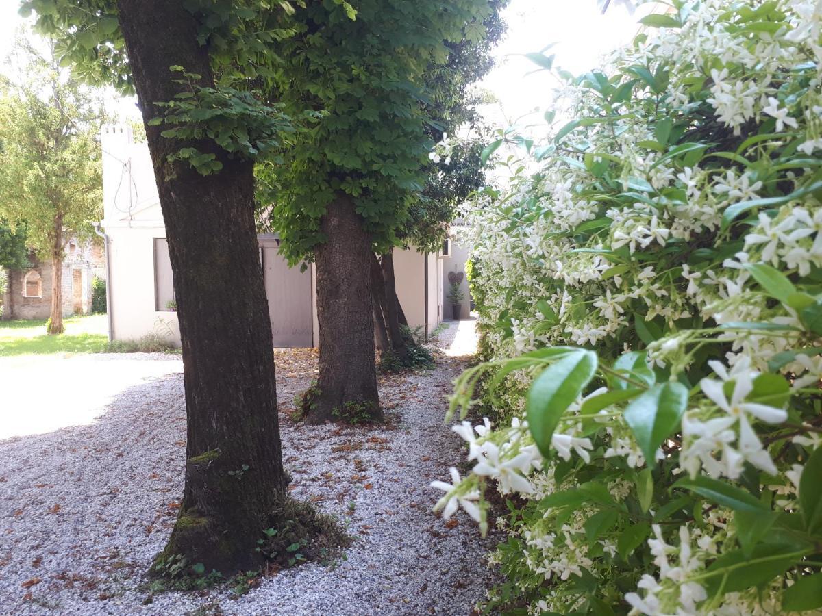 Villa Fiorentino Padova Eksteriør billede